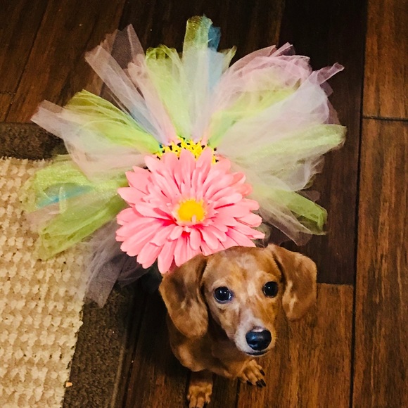 Meet your Posher, Tiny Tina - Picture 2 of 8